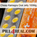 Cheap Kamagra Oral Jelly 100Mg new05